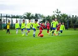 二月票房佳,天内票房总,额破百亿,半岛体育平台,半岛体育官方网站,半岛体育登录入口,半岛体育app下载