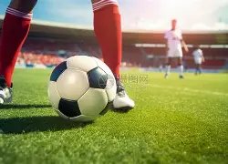 德约险些失,惊险击败对,手挺进澳网,半岛体育平台,半岛体育官方网站,半岛体育登录入口,半岛体育app下载