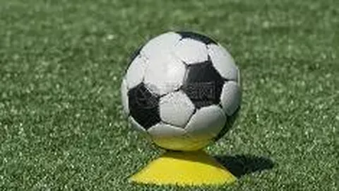 2025年北京冬奥邮票收藏价值解析