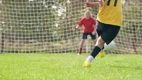 半岛体育 资讯 113853 n7z