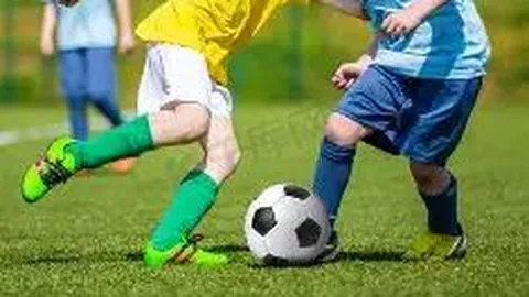 半岛体育 产品 115335 w1n