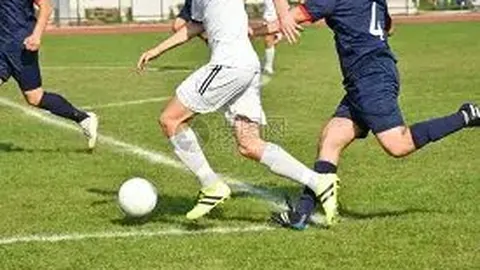 半岛体育 资讯 114255 s0g