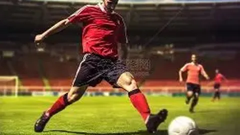 半岛体育 资讯 114204 p9o