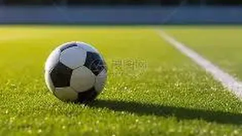 湖北废钢市场行情