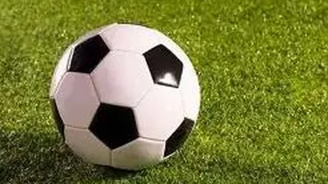 半岛体育 资讯 100352 yc8