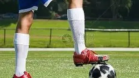 半岛体育 资讯 094914 rsj