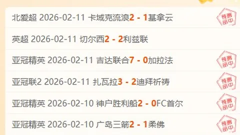 保甲卢多戈雷茨连胜九期专家推荐分析